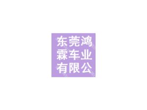 东莞鸿霖车业有限公司